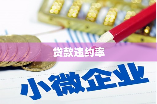 三民贷款违约率