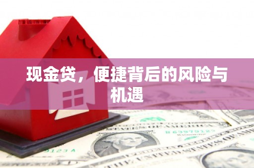 三民现金贷，便捷背后的风险与机遇