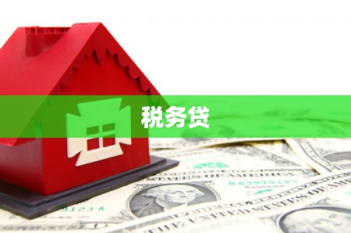 三民税务贷