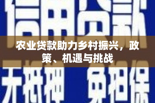 三民农业贷款助力乡村振兴，政策、机遇与挑战