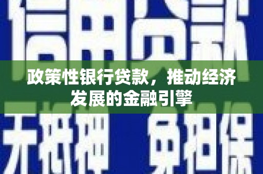 三民政策性银行贷款，推动经济发展的金融引擎