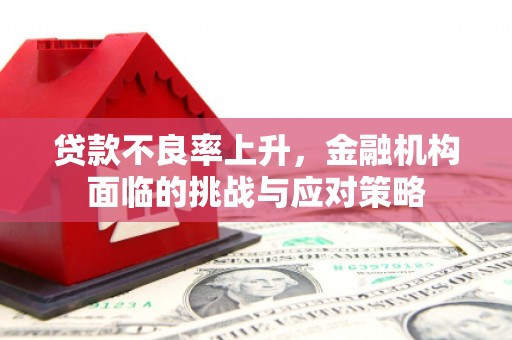 三民贷款不良率上升，金融机构面临的挑战与应对策略