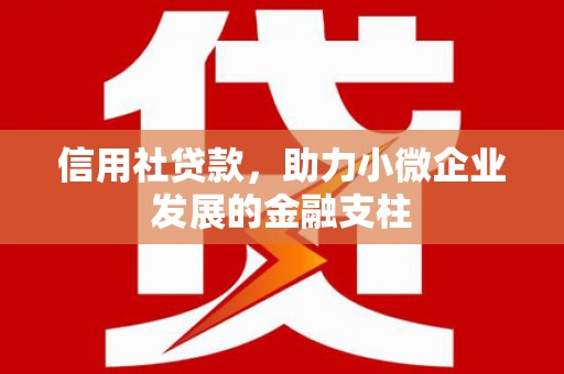 三民信用社贷款，助力小微企业发展的金融支柱