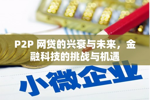 三民P2P 网贷的兴衰与未来，金融科技的挑战与机遇