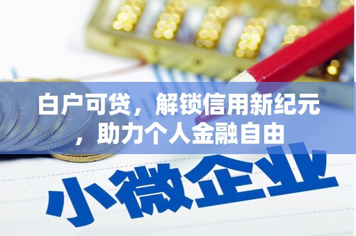 三民白户可贷，解锁信用新纪元，助力个人金融自由