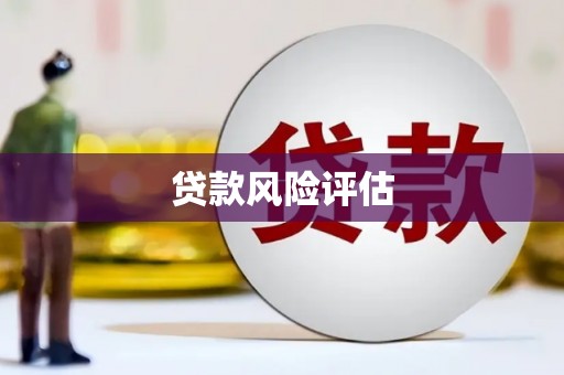 三民贷款风险评估