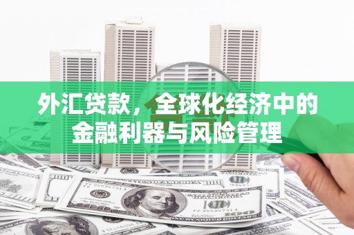 三民外汇贷款，全球化经济中的金融利器与风险管理