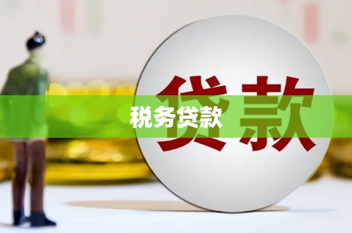 三民税务贷款
