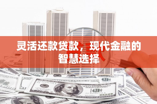 三民灵活还款贷款，现代金融的智慧选择