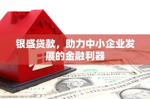 三民银盛贷款，助力中小企业发展的金融利器