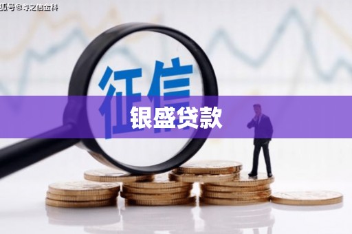 三民银盛贷款