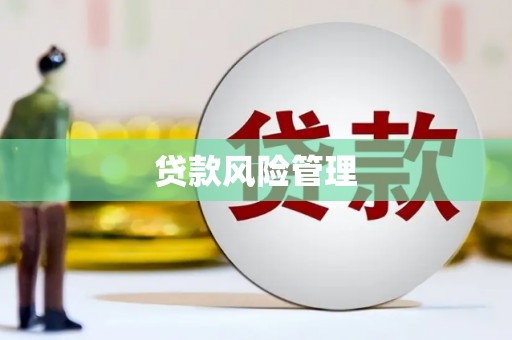 三民贷款风险管理