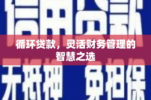 三民循环贷款，灵活财务管理的智慧之选