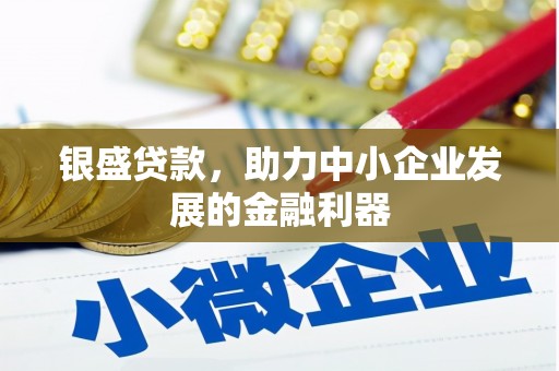 三民银盛贷款，助力中小企业发展的金融利器