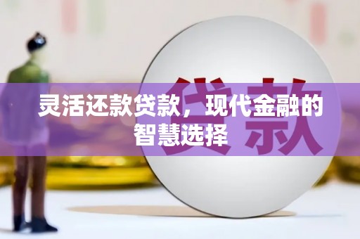 三民灵活还款贷款，现代金融的智慧选择