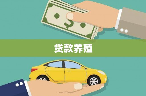 三民贷款养殖