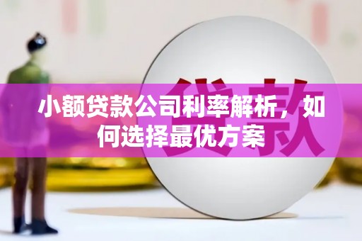三民小额贷款公司利率解析，如何选择最优方案