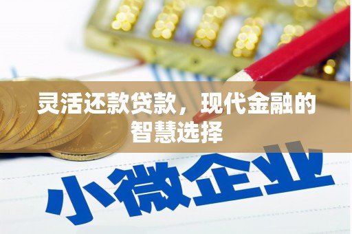 三民灵活还款贷款，现代金融的智慧选择