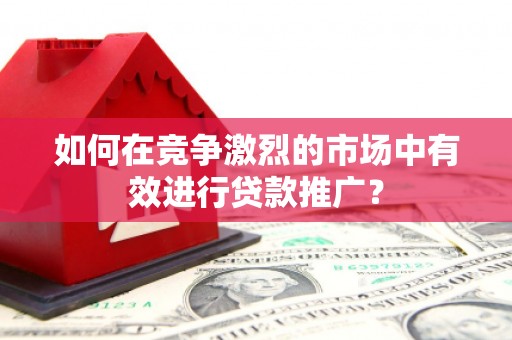 三民如何在竞争激烈的市场中有效进行贷款推广？