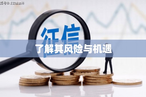 三民了解其风险与机遇