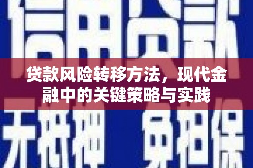 三民贷款风险转移方法，现代金融中的关键策略与实践