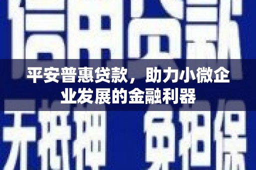 三民平安普惠贷款，助力小微企业发展的金融利器