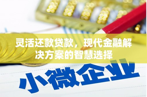 三民灵活还款贷款，现代金融解决方案的智慧选择