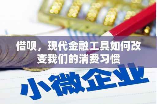 三民借呗，现代金融工具如何改变我们的消费习惯