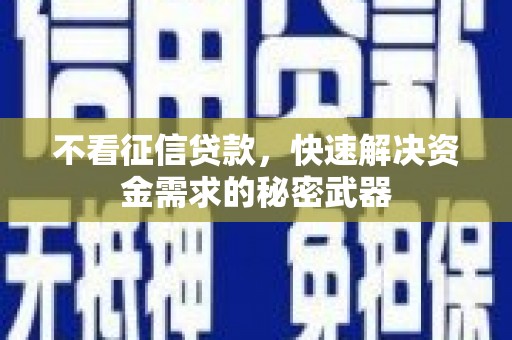 三民不看征信贷款，快速解决资金需求的秘密武器