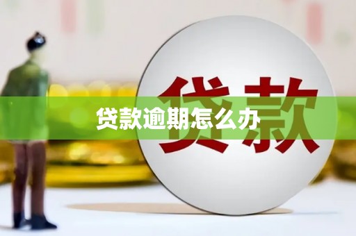 三民贷款逾期怎么办