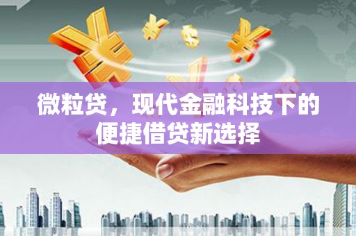 三民微粒贷，现代金融科技下的便捷借贷新选择