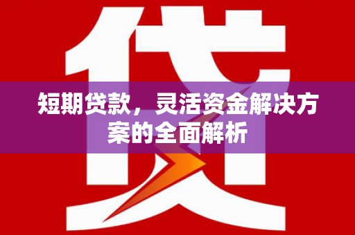 三民短期贷款，灵活资金解决方案的全面解析