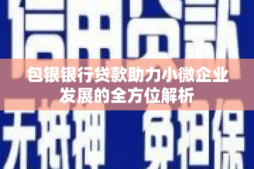 三民包银银行贷款助力小微企业发展的全方位解析