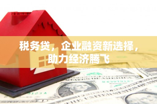 三民税务贷，企业融资新选择，助力经济腾飞