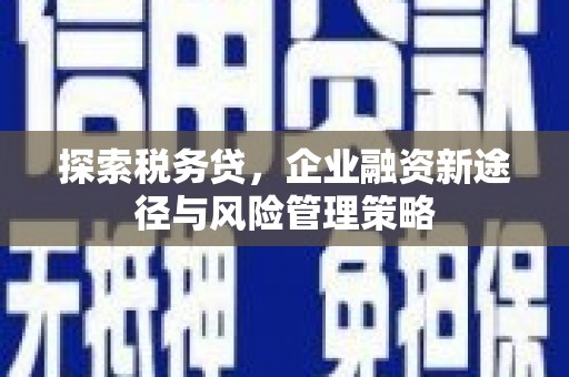 三民探索税务贷，企业融资新途径与风险管理策略