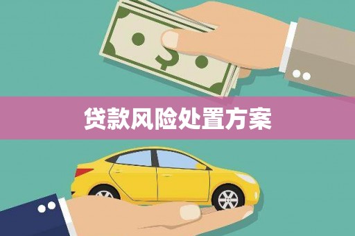 三民贷款风险处置方案