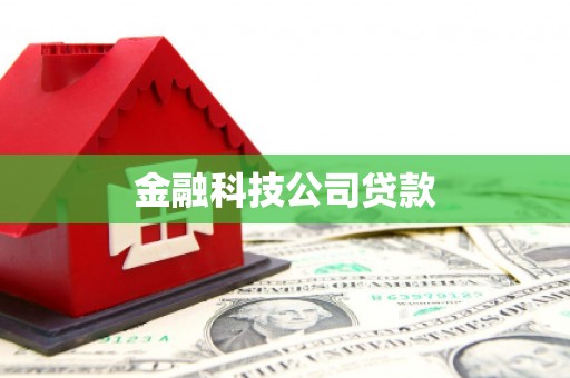 三民金融科技公司贷款