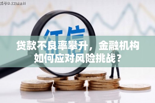 三民贷款不良率攀升，金融机构如何应对风险挑战？