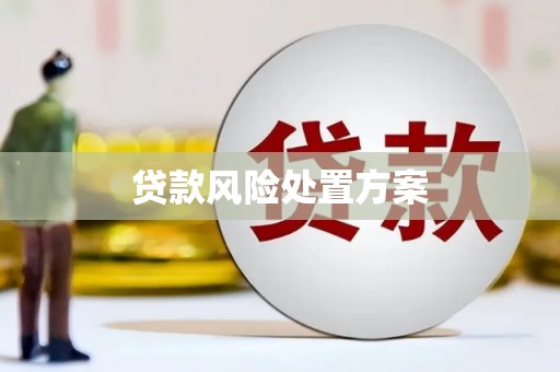 三民贷款风险处置方案