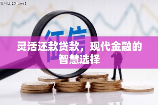 三民灵活还款贷款，现代金融的智慧选择