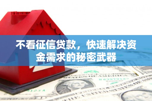 三民不看征信贷款，快速解决资金需求的秘密武器
