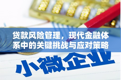 三民贷款风险管理，现代金融体系中的关键挑战与应对策略