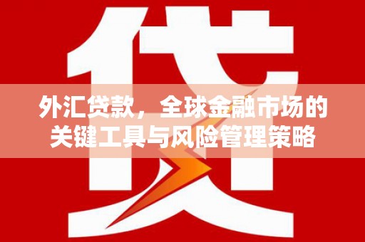 三民外汇贷款，全球金融市场的关键工具与风险管理策略