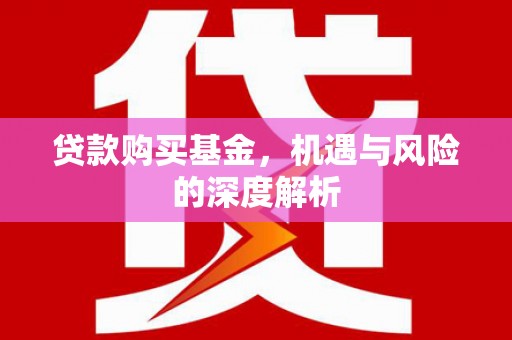 三民贷款购买基金，机遇与风险的深度解析