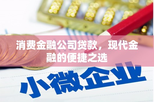 三民消费金融公司贷款，现代金融的便捷之选