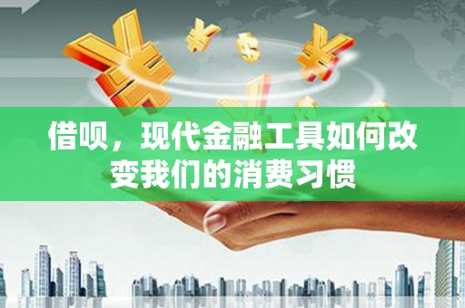 三民借呗，现代金融工具如何改变我们的消费习惯