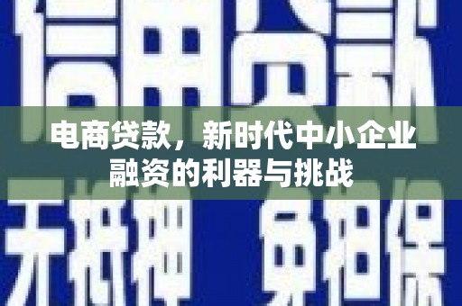 三民电商贷款，新时代中小企业融资的利器与挑战