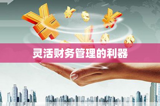 三民灵活财务管理的利器