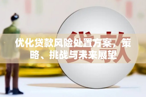 三民优化贷款风险处置方案，策略、挑战与未来展望