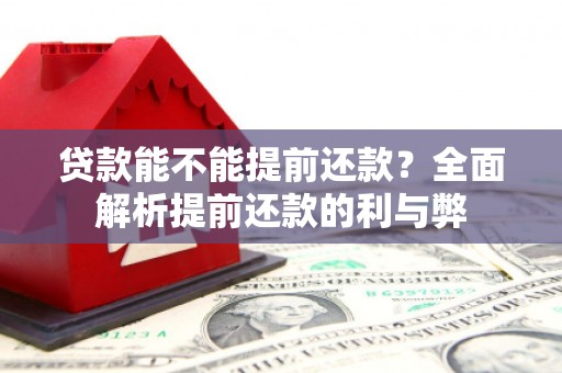 三民贷款能不能提前还款？全面解析提前还款的利与弊